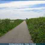 img-1646.jpg