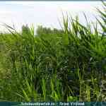 img-1648.jpg