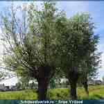 img-1659.jpg