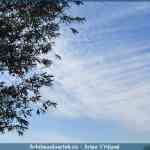img-1660.jpg
