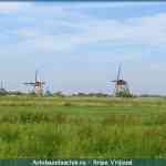 img-1662.jpg