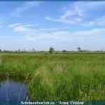 img-1664.jpg