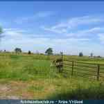 img-1673.jpg