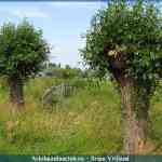 img-1676.jpg