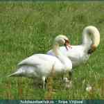 img-1677.jpg