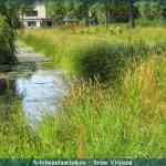 img-1678.jpg