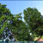 img-1682.jpg