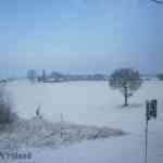 img-1205.jpg