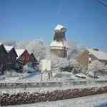 img-1249.jpg