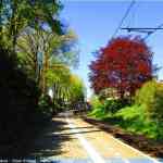 img-3930.jpg