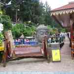 img-3675.jpg