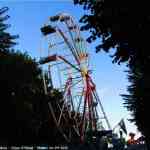 img-3695.jpg