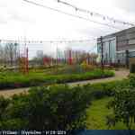 img-8512.jpg