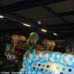 img-8524.jpg