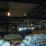 img-8525.jpg