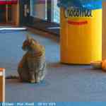 img-6541.jpg