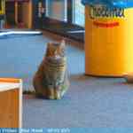 img-6542.jpg
