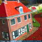img-6591.jpg