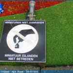 img-6596.jpg