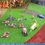 img-6646.jpg