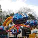 img-0240.jpg