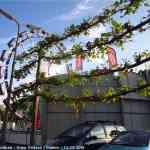 img-4642.jpg