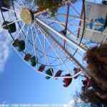 img-5973.jpg