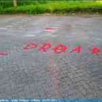 img-4203.jpg
