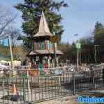 drouwenerzand-27-03-2025-051.jpg