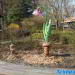 drouwenerzand-27-03-2025-071.jpg