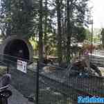 waarbeek-19-04-2025-038.jpg