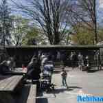 waarbeek-19-04-2025-058.jpg