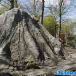 waarbeek-19-04-2025-060.jpg