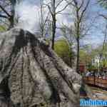 waarbeek-19-04-2025-065.jpg