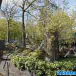 waarbeek-19-04-2025-068.jpg