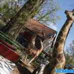 waarbeek-19-04-2025-075.jpg