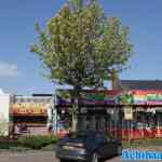 zwijndrecht-25-04-2025-046.jpg