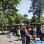 efteling-09-05-2025-316.jpg