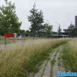 dordrecht-transport-14-06-2025-006.jpg
