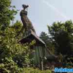 toverland-13-06-2025-041.jpg