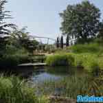 toverland-13-06-2025-158.jpg