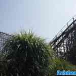 toverland-13-06-2025-163.jpg