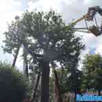 oisterwijk-11-07-2025-031.jpg