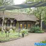 efteling-28-07-2025-042.jpg
