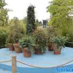 efteling-28-07-2025-124.jpg