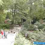 efteling-28-07-2025-130.jpg