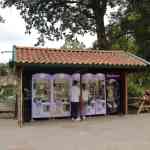 waarbeek-17-08-2025-006.jpg