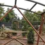 waarbeek-17-08-2025-038.jpg