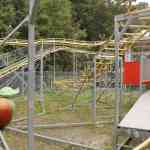 waarbeek-17-08-2025-042.jpg