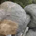 waarbeek-17-08-2025-052.jpg